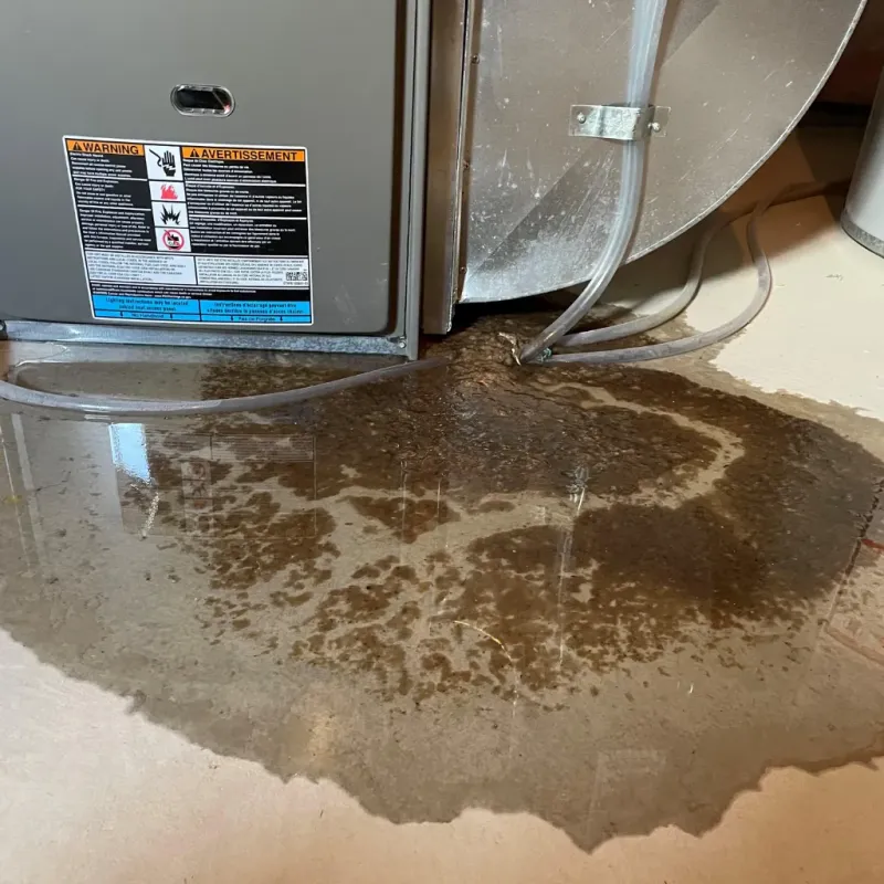 Appliance Leak Cleanup in Rowan County, NC